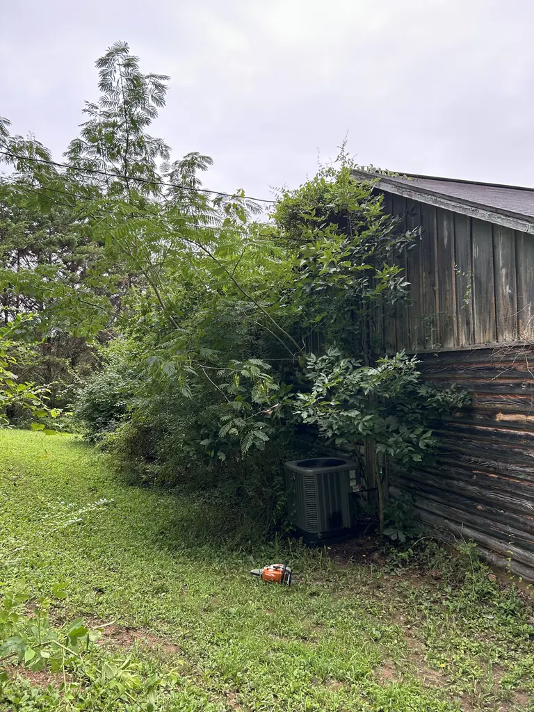 Brush Removal project by Red Wood Tree Service in Knoxville, Tennessee