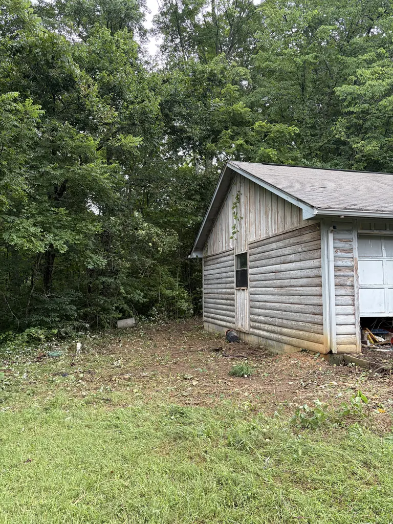 Brush Removal project by Red Wood Tree Service in Knoxville, Tennessee