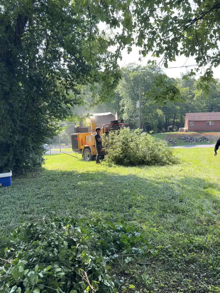 Brush Removal project by Red Wood Tree Service in Knoxville, Tennessee