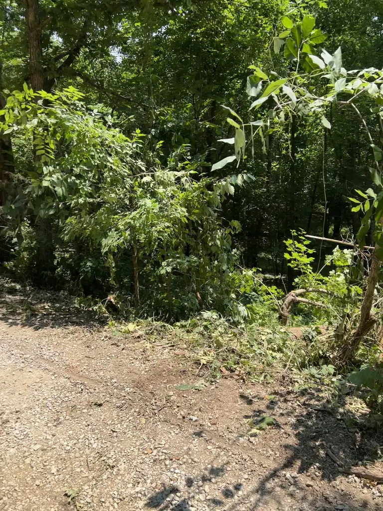 Land Clearing project by Red Wood Tree Service in Knoxville, Tennessee