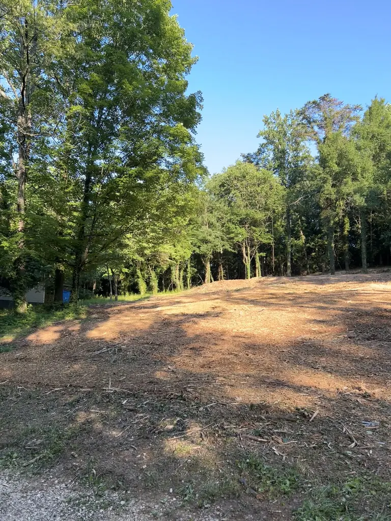 Land Clearing project by Red Wood Tree Service in Knoxville, Tennessee