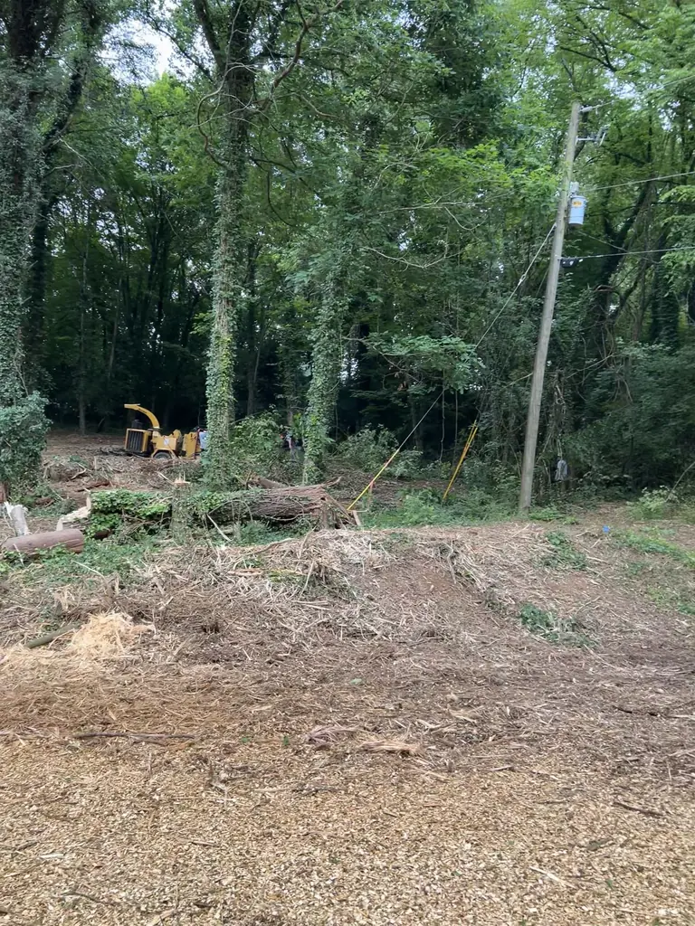 Land Clearing project by Red Wood Tree Service in Knoxville, Tennessee