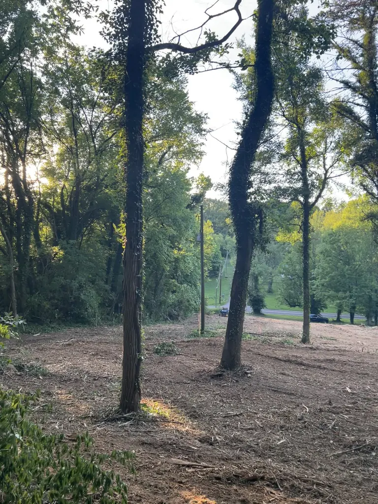 Land Clearing project by Red Wood Tree Service in Knoxville, Tennessee