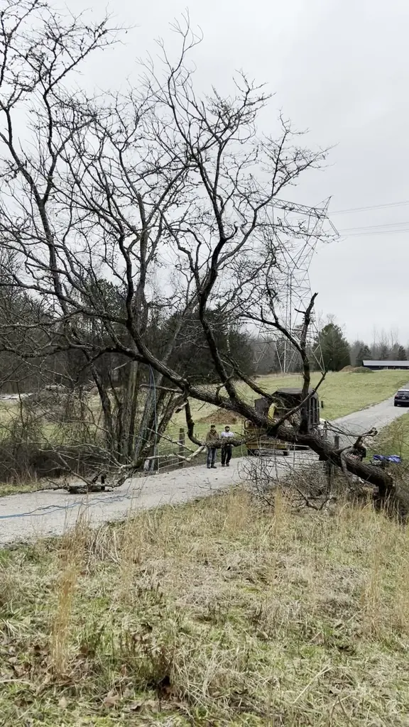 Storm Damage Cleanup project by Red Wood Tree Service in Knoxville, Tennessee
