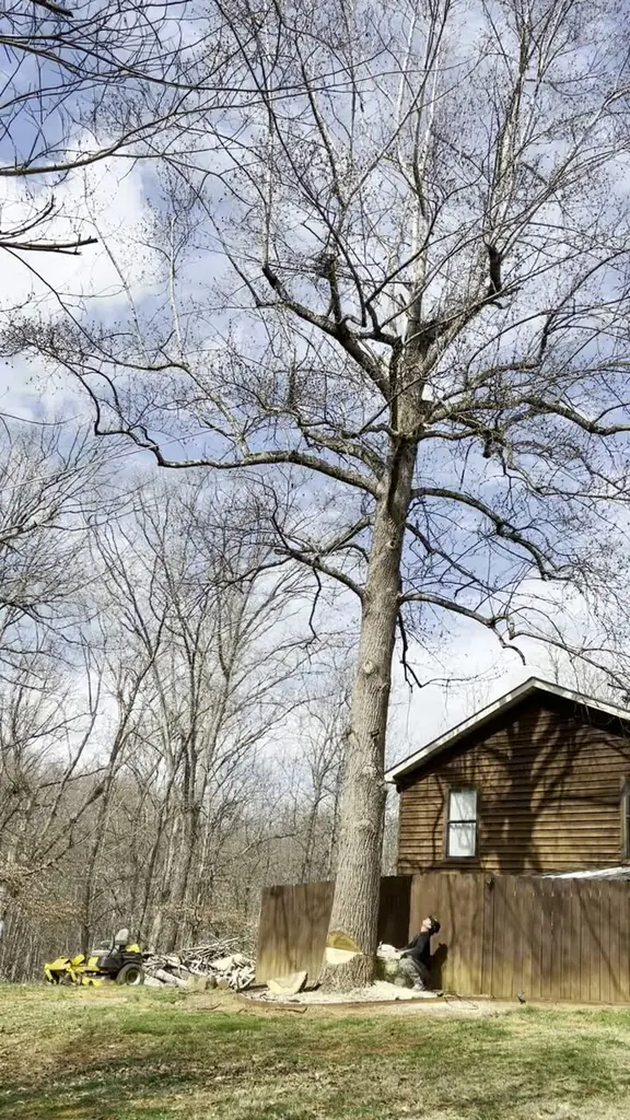 Storm Damage Cleanup project by Red Wood Tree Service in Knoxville, Tennessee
