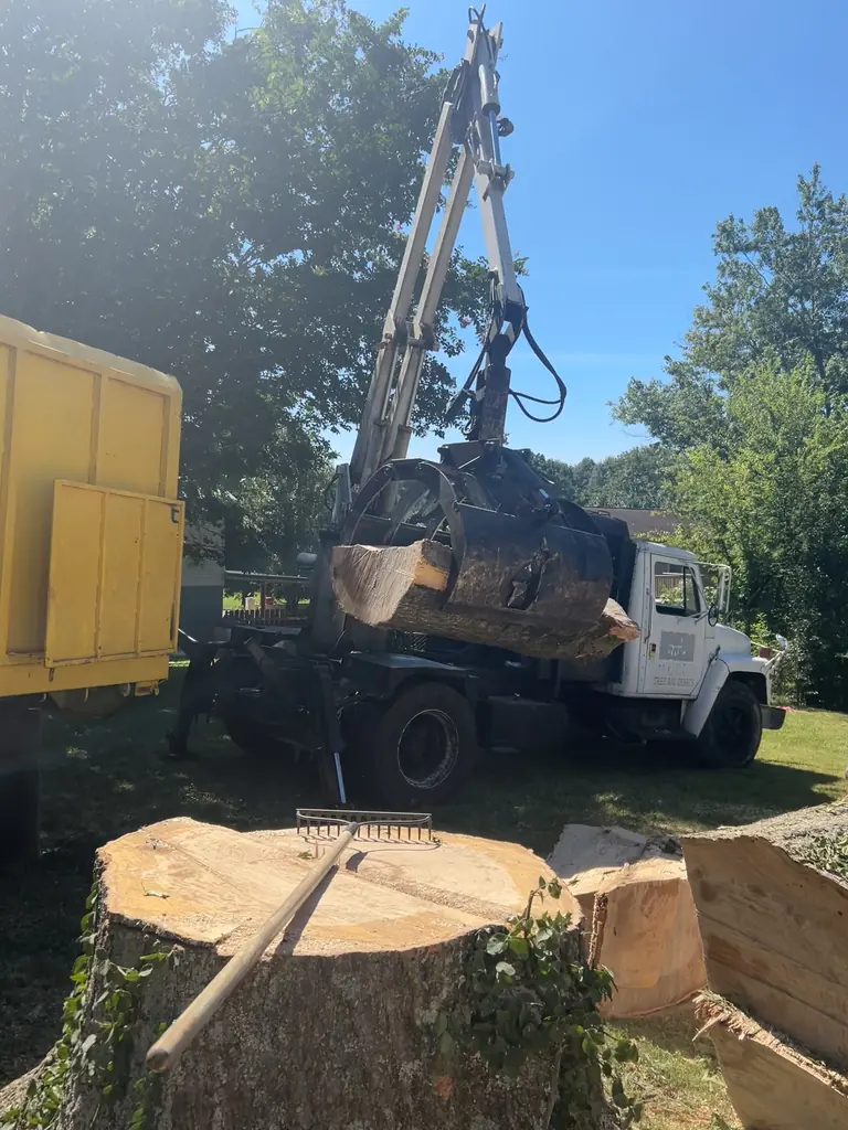 Stump Grinding project by Red Wood Tree Service in Knoxville, Tennessee