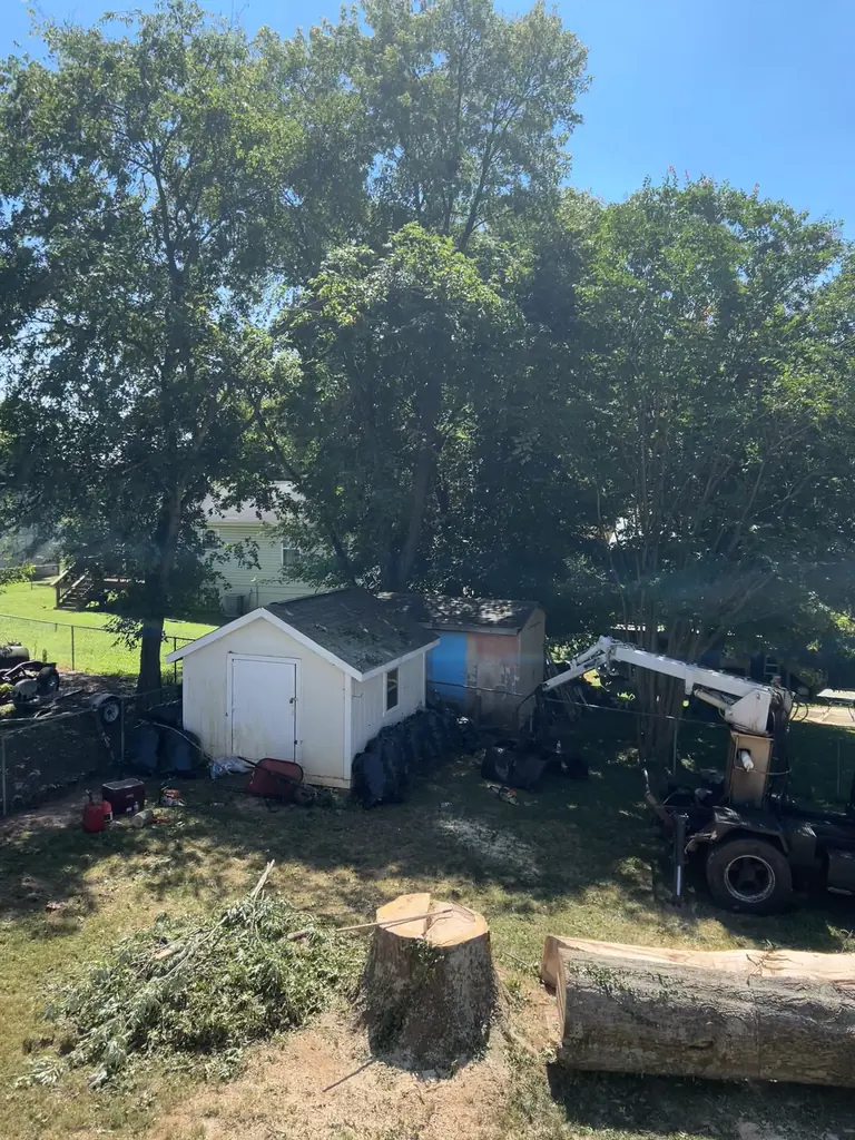 Large cut stump and stacked rounds ready for grinding in Knoxville, Tennessee