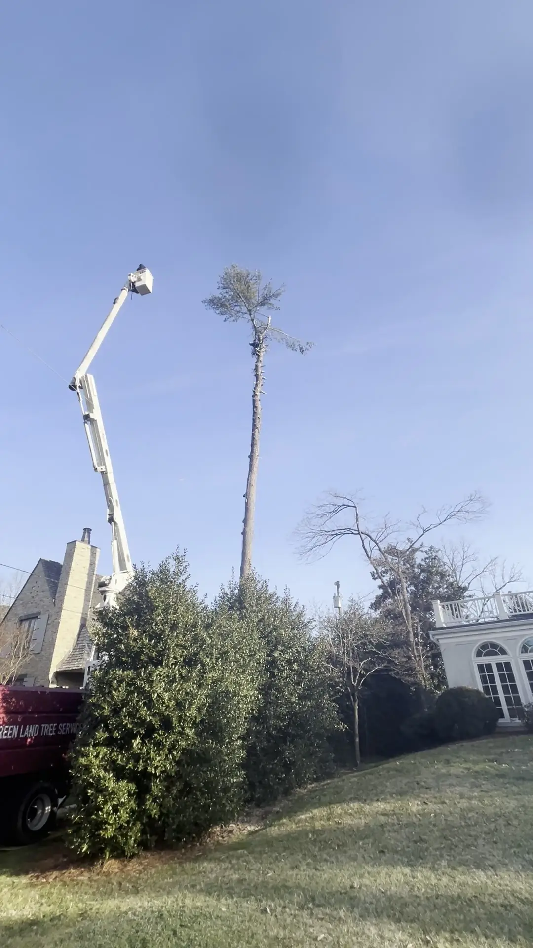 Tree Removal project by Red Wood Tree Service in Knoxville, Tennessee