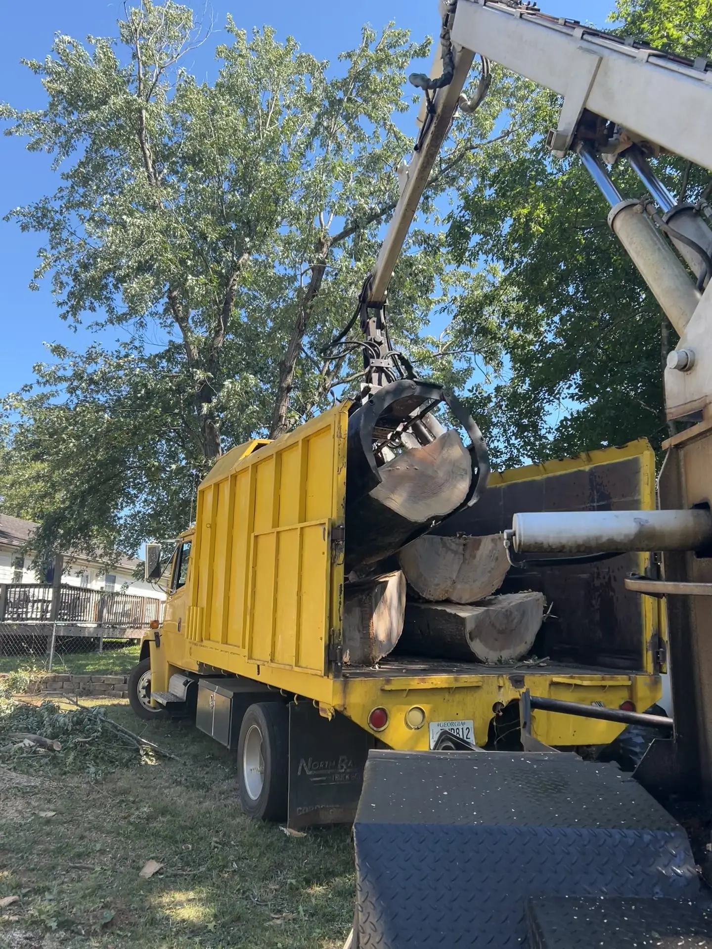 Tree Removal project by Red Wood Tree Service in Knoxville, Tennessee