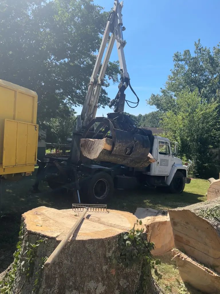 The Red Wood Tree Service crew on a job site in Knoxville, Tennessee