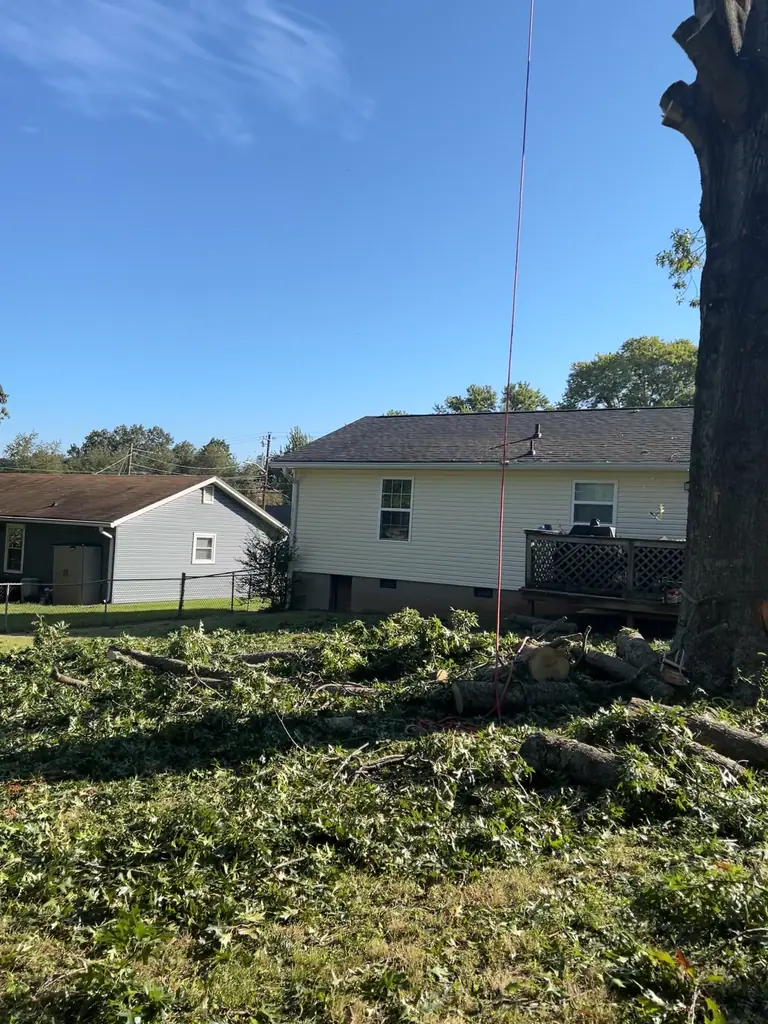 Tree Removal project by Red Wood Tree Service in Knoxville, Tennessee